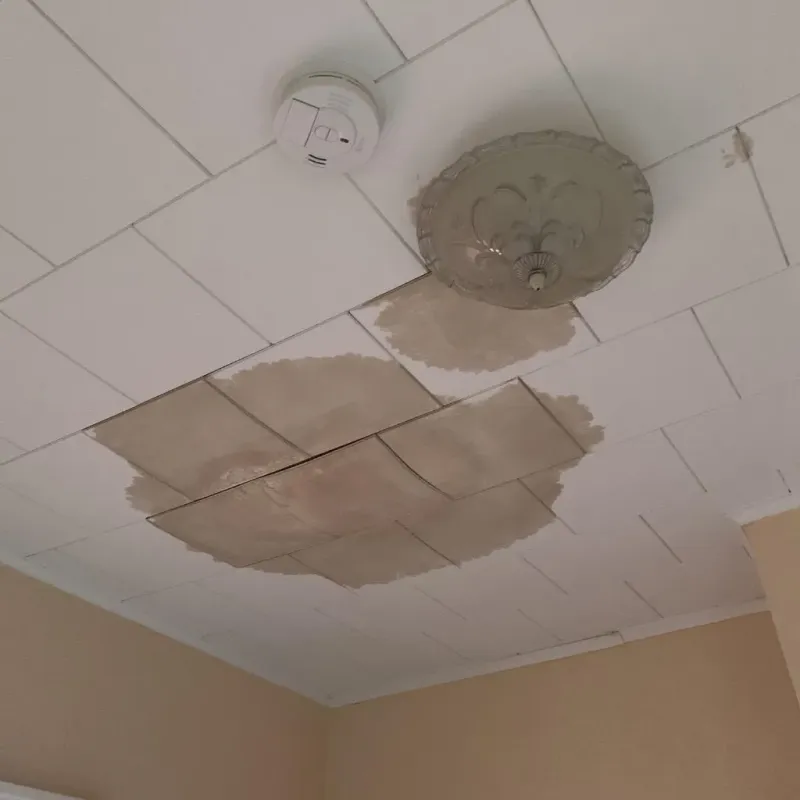 Ceiling Water Damage Repair in Sully County, SD