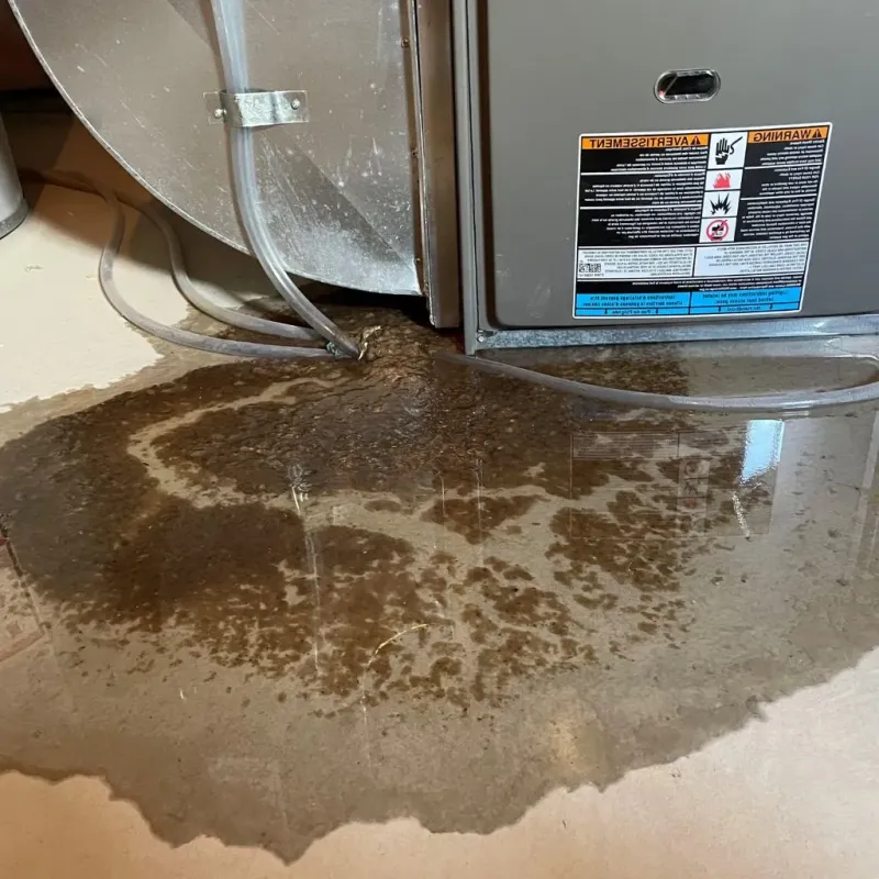 Pipe Burst and Leak Restoration in Sully County, SD